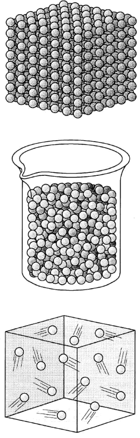 Le Proprietà Della Materia E Le Forze Di Coesione: Le Forze E I ...